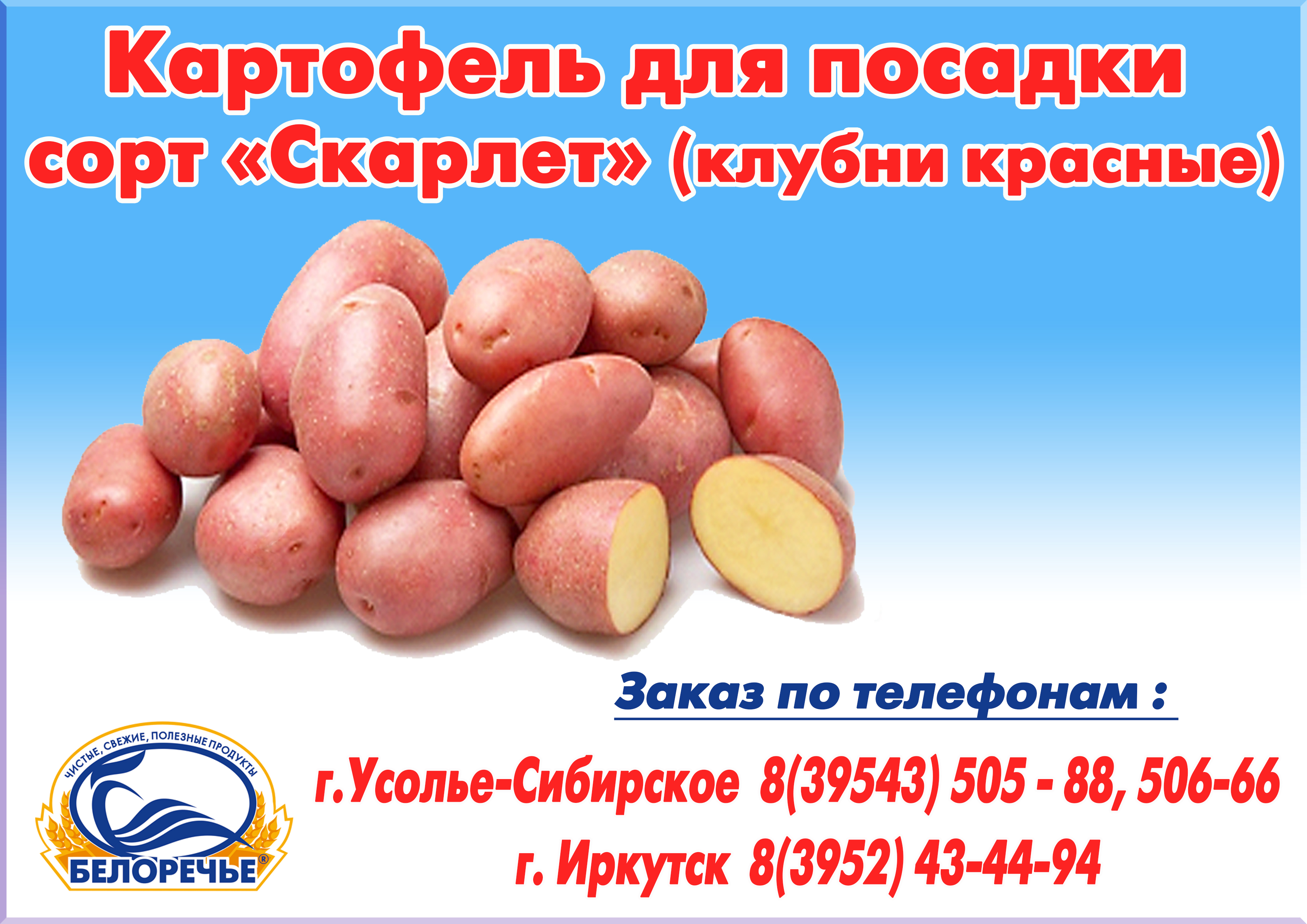 Авито Батырево Чувашия Купить Картофель