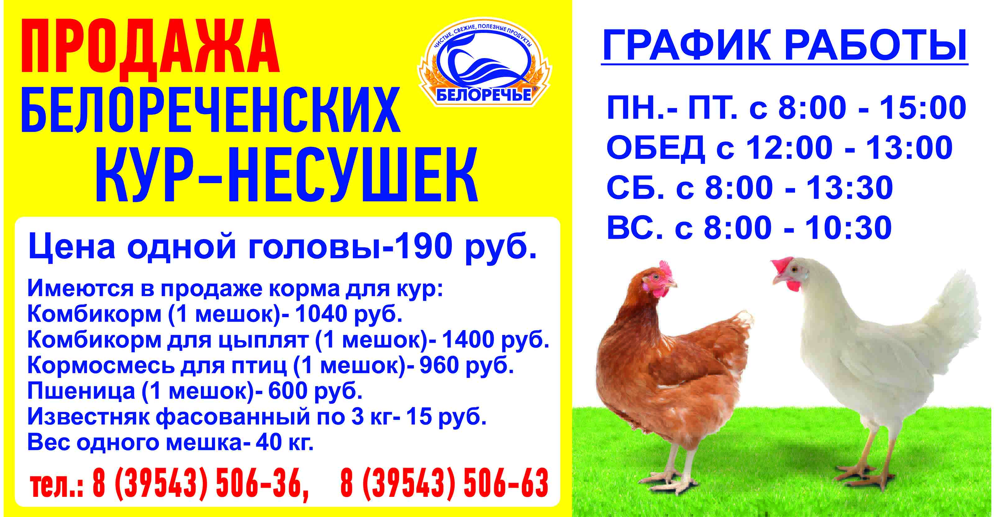 Купить Кур Несушек В Крыму Недорого